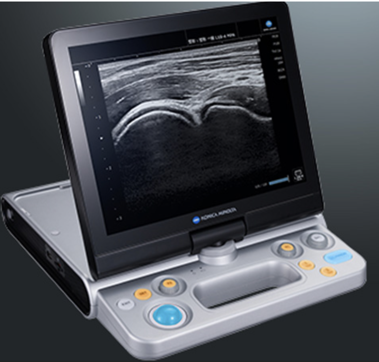 Ultrasound Echo Device