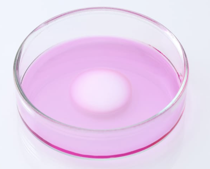 Regenerative Medicine